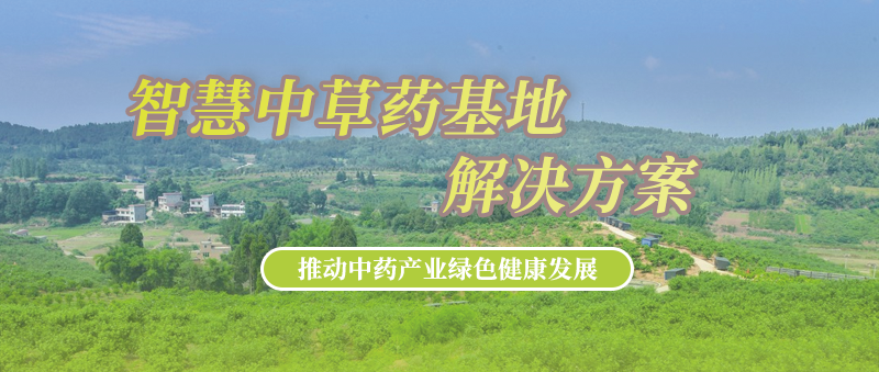 香港宝典大全资料