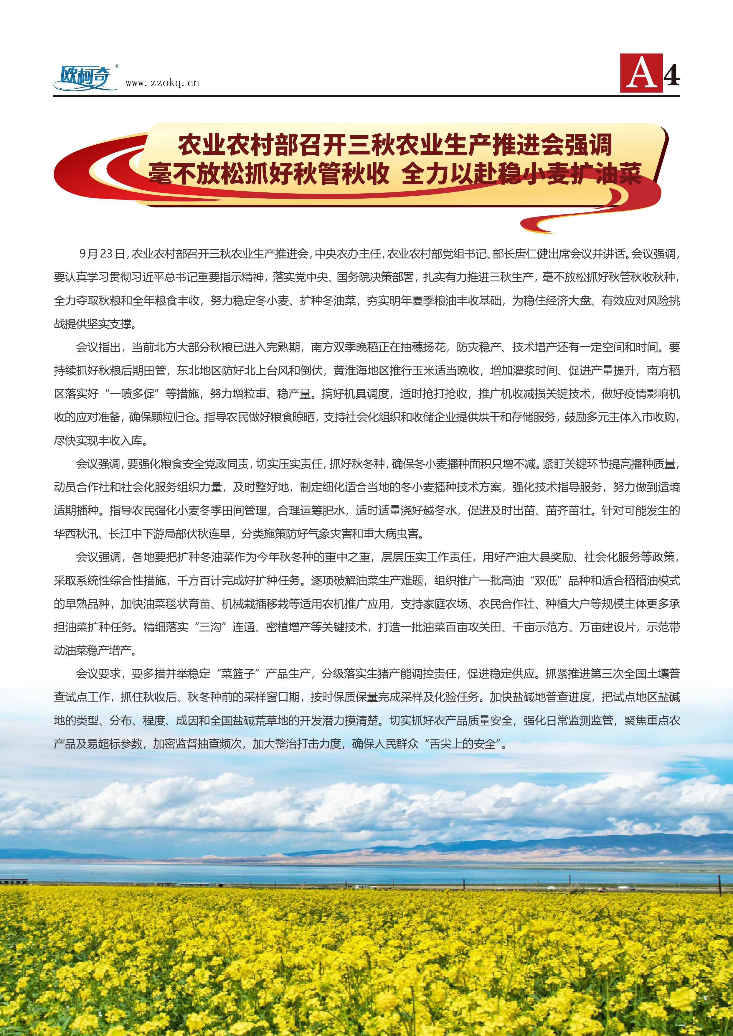 香港宝典大全资料