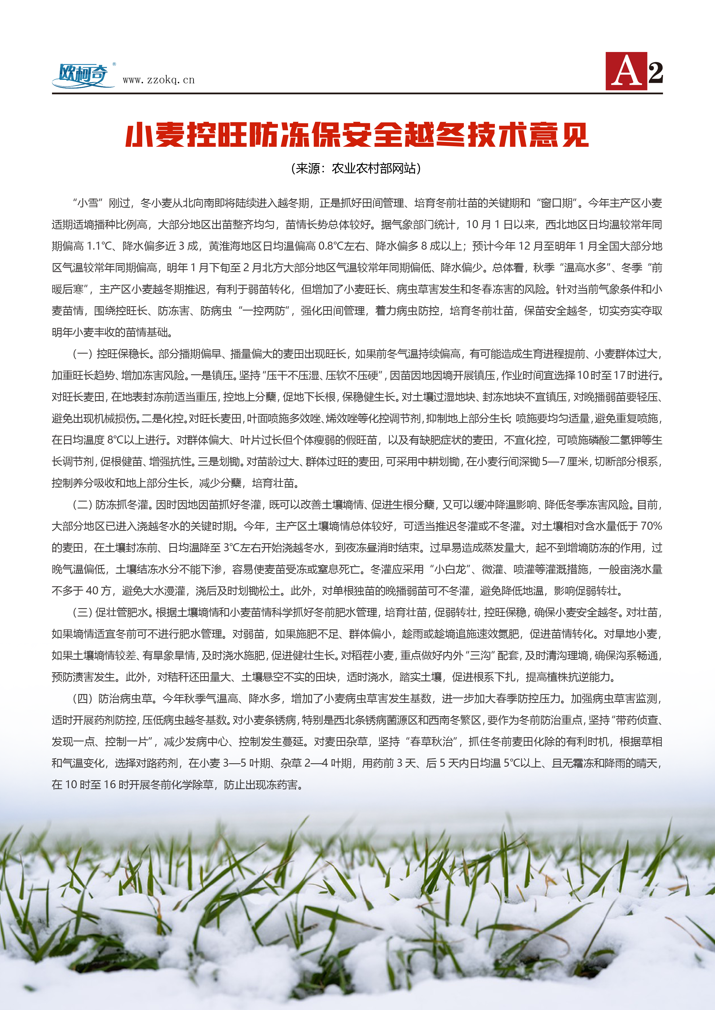 香港宝典大全资料