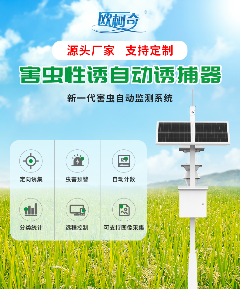 香港宝典大全资料