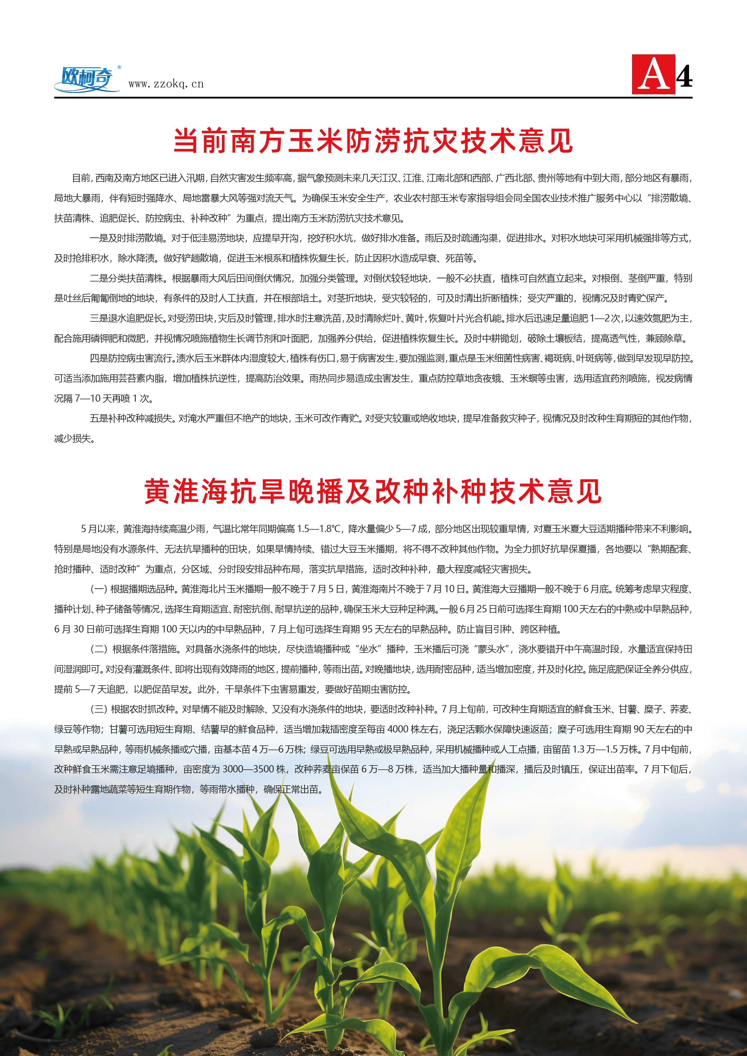 香港宝典大全资料