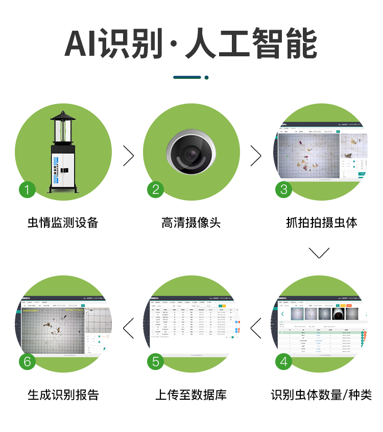 香港宝典大全资料