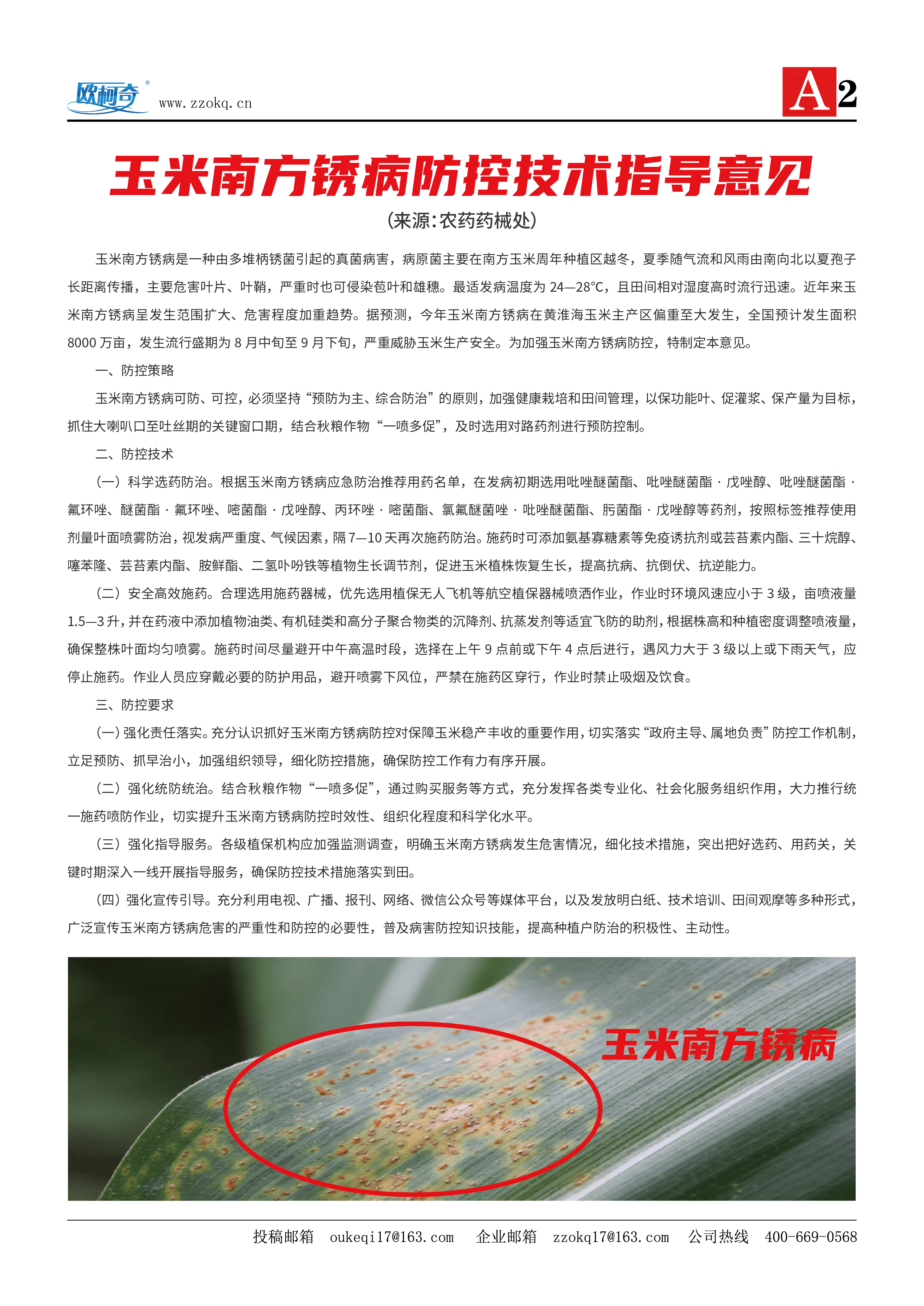香港宝典大全资料
