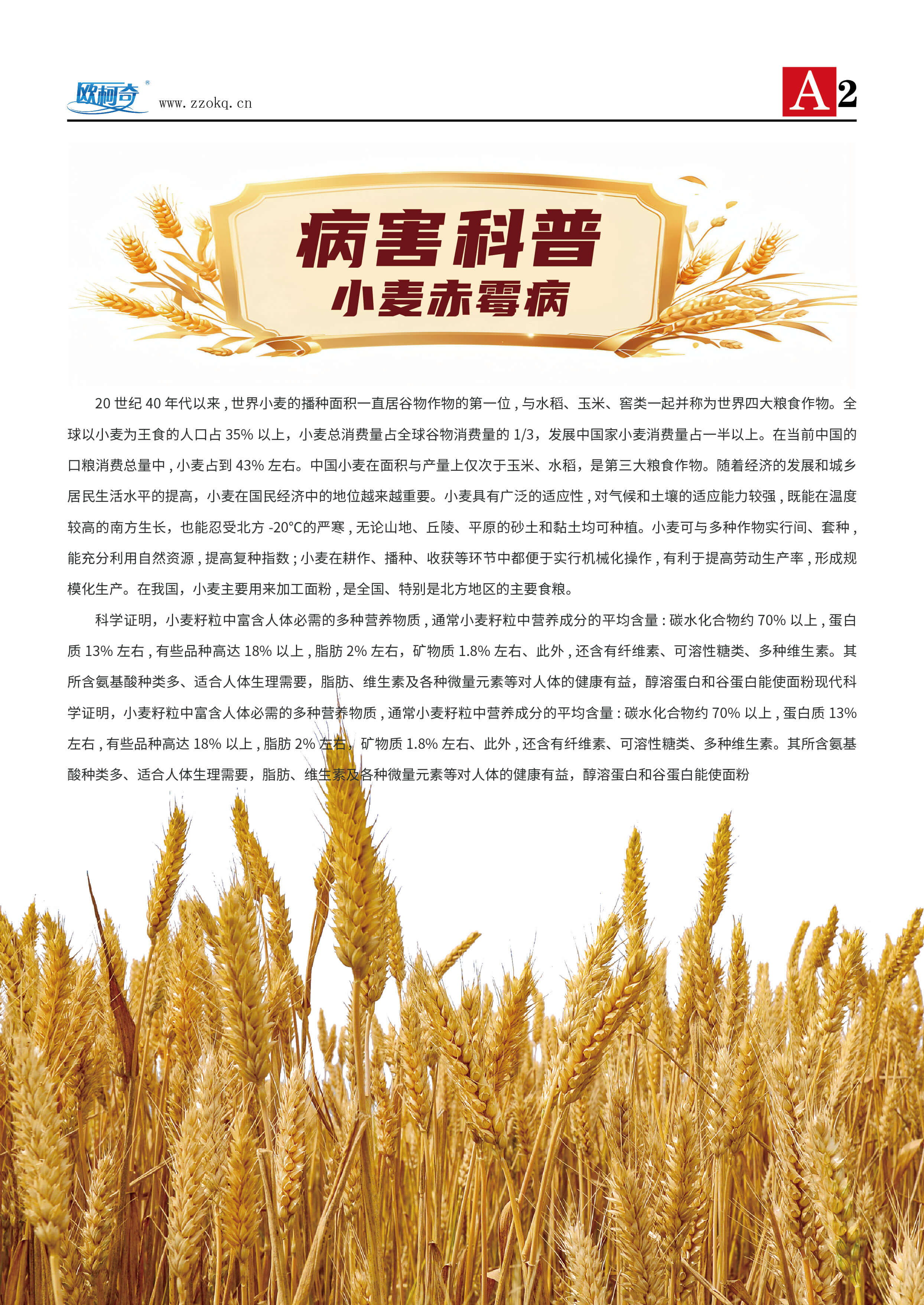 香港宝典大全资料