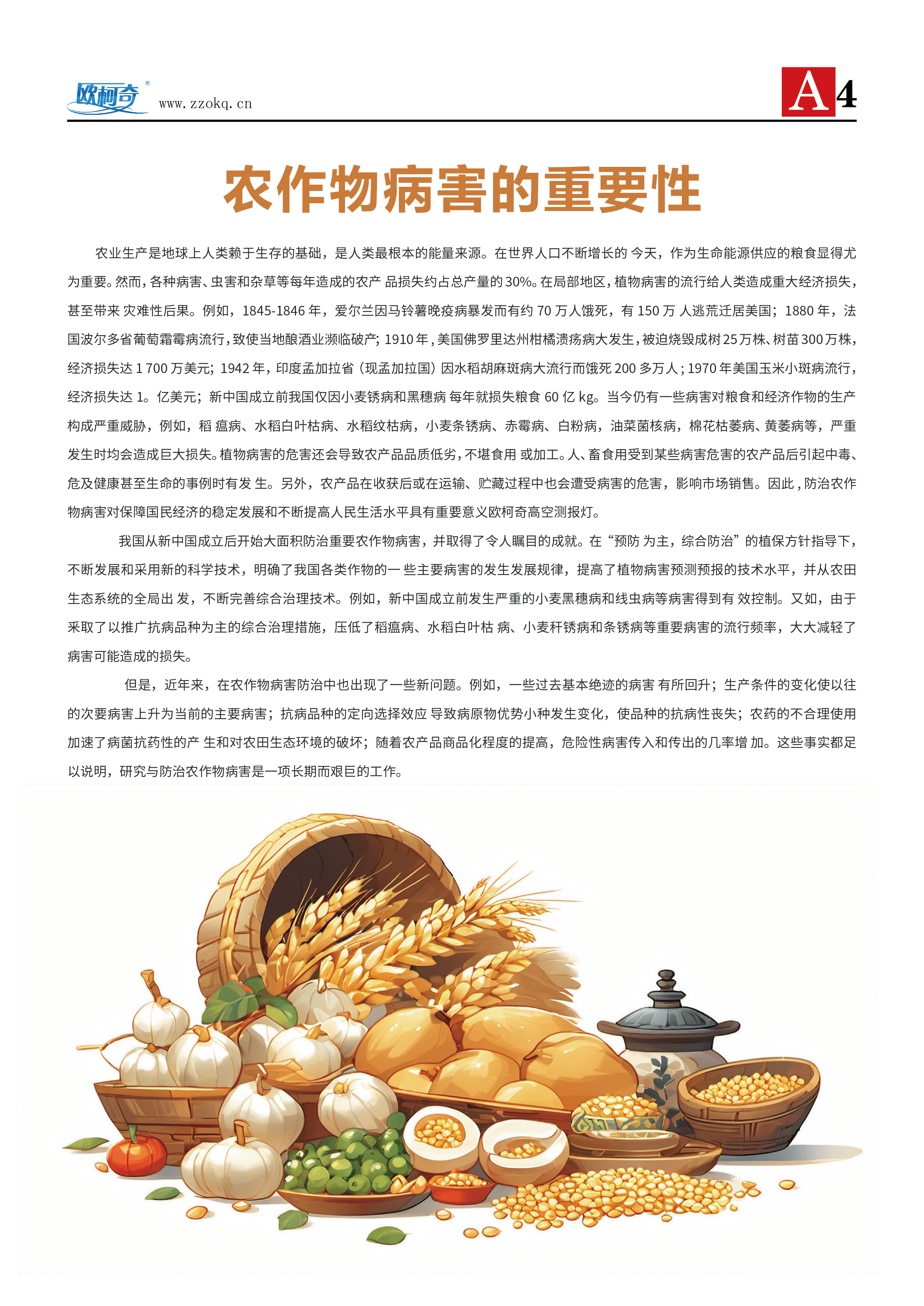 香港宝典大全资料