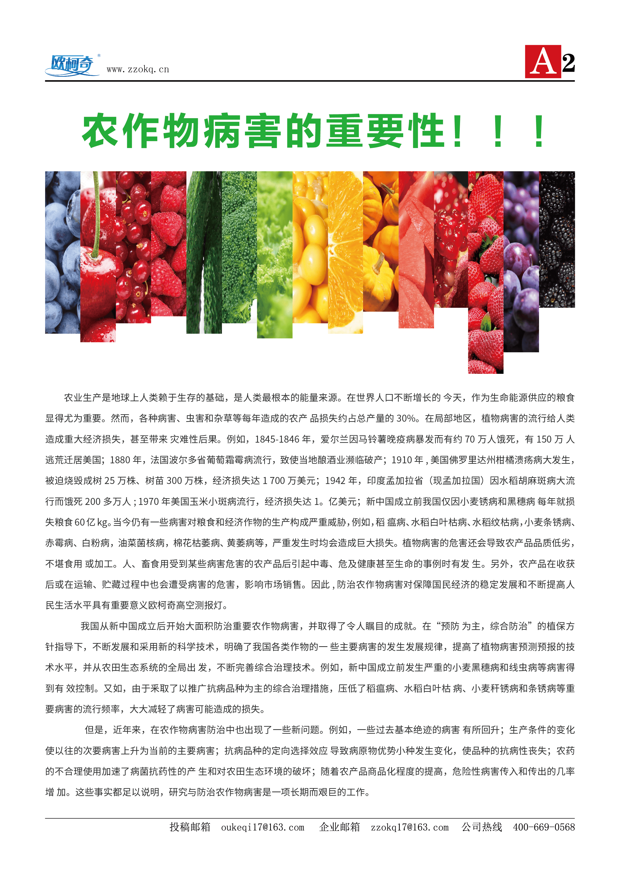 香港宝典大全资料