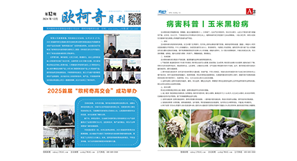 香港宝典大全资料