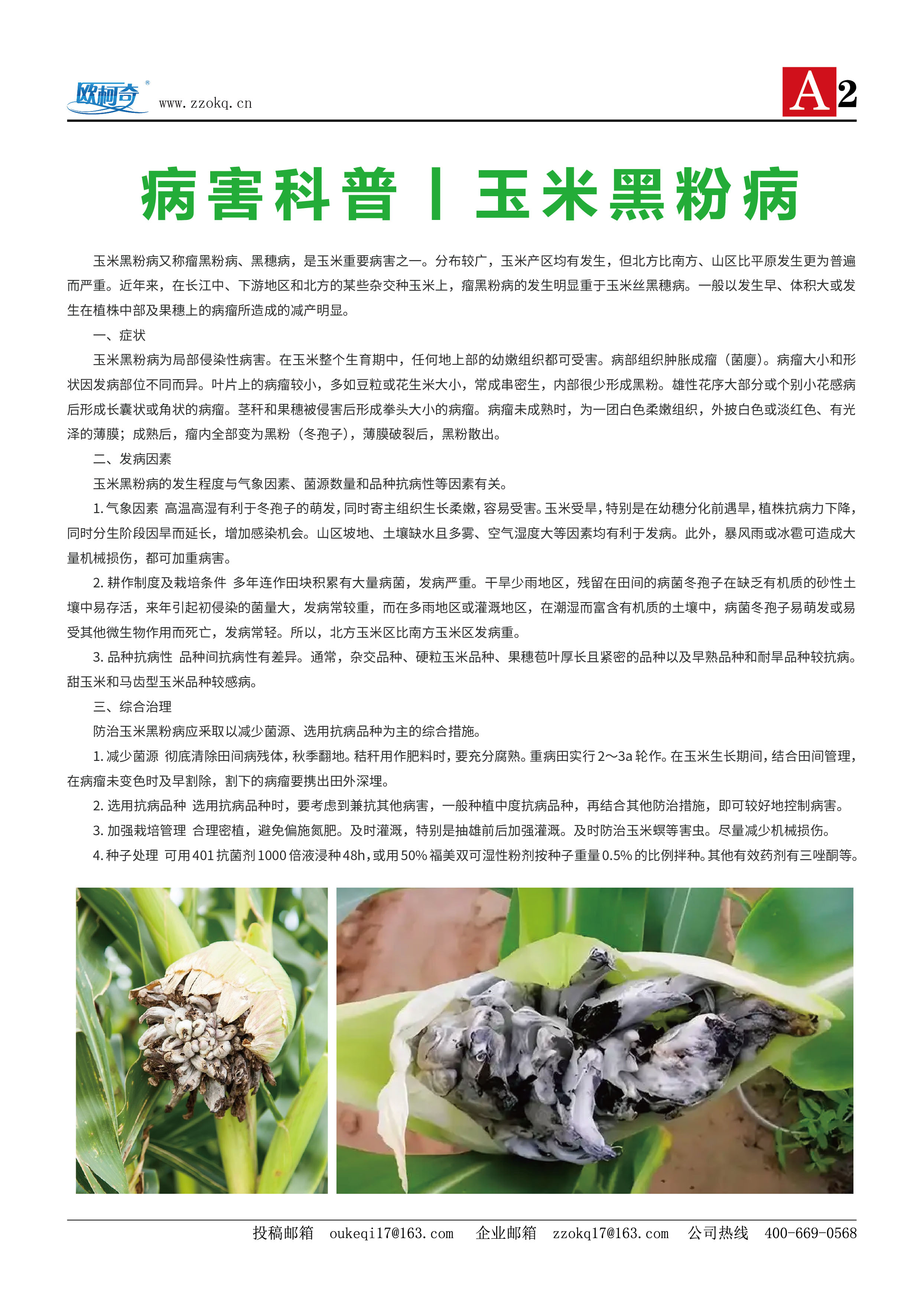 香港宝典大全资料