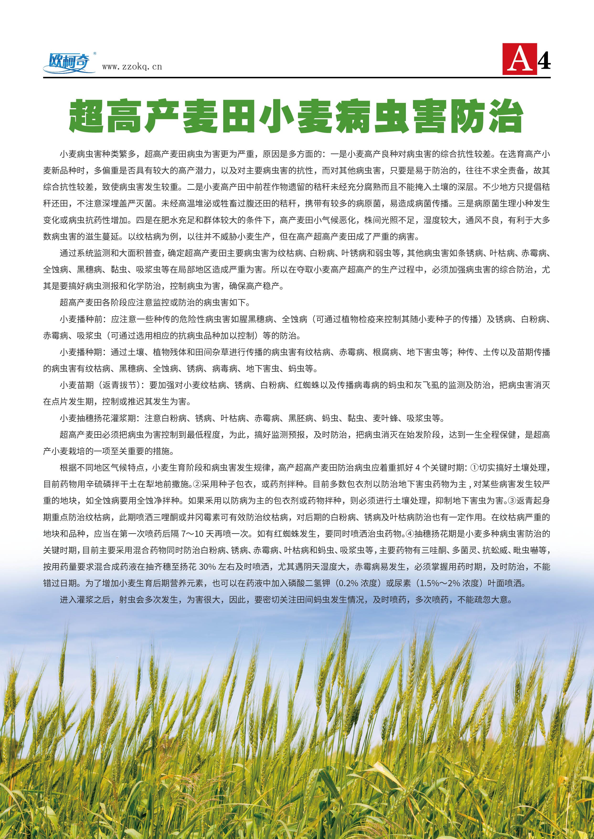 香港宝典大全资料